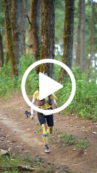 BIB:  <button type="button" onclick="openModal(27339862)" class="btn btn-primary btn-sm float-right" data-toggle="modal" data-target=".modal-high-quality">
                <i class="fa fa-download"></i> Download
                </button>